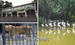 广州动物园驴友相册