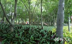 福州国家森林公园旅游攻略之姜目植物园