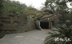 重慶動物園旅遊攻略之兩棲爬行館