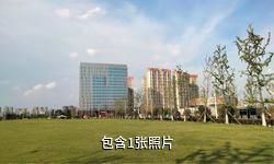 阜阳金种子文化产业园驴友相册