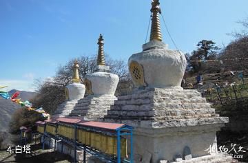西藏卡久寺-白塔照片