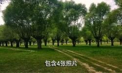 靖边金鸡沙生态旅游区驴友相册