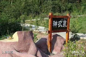 重庆黄水药用植物园-神农泉照片