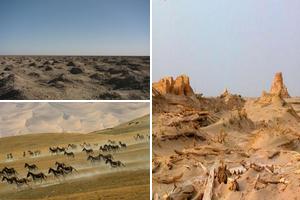新疆阿克苏巴音郭楞蒙古若羌旅游攻略-若羌县景点排行榜