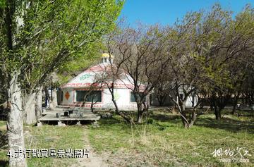新疆天山野生動物園-步行觀賞區照片