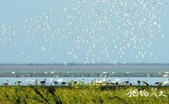 江西鄱陽湖南磯濕地國家級自然保護區旅遊攻略之保護區