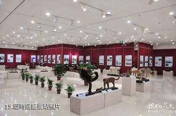 清遠廣東瑤族博物館-臨時展廳照片