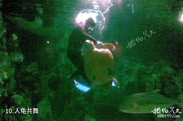 杭州海底世界-人龟共舞照片