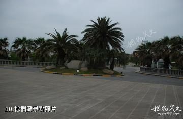 上海奉賢海灣旅遊區-棕櫚灘照片