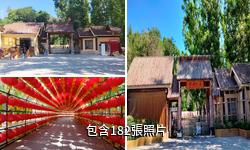 阿勒泰樺林公園驢友相冊