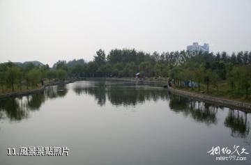 淮安櫻花園-風景照片