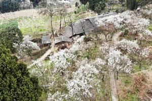 四川达州达县百节旅游攻略-百节镇景点排行榜