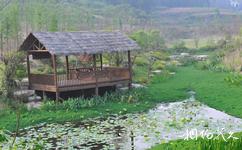 南川黎香湖濕地生態園旅遊攻略之濕地生態園