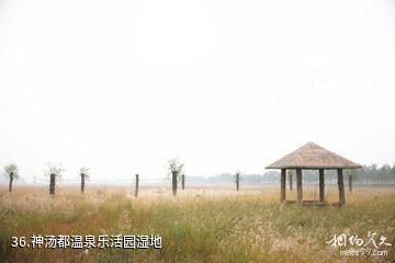 忻州市定襄凤凰山景区-神汤都温泉乐活园湿地照片