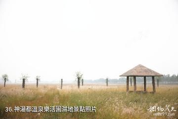 忻州市定襄鳳凰山景區-神湯都溫泉樂活園濕地照片