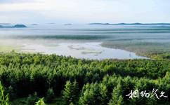 黑龙江乌伊岭国家级自然保护区旅游攻略