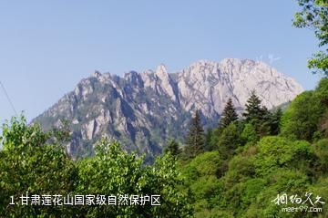 甘肃莲花山国家级自然保护区照片