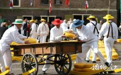 荷蘭阿克馬乳酪市場旅遊攻略之乳酪搬運工