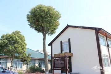 嘉兴大横港祝家庄景区-许愿树照片