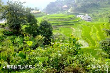 融水元寶山龍女溝-苗嶺梯田照片