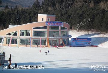 伊春梅花河山莊度假村-梅花山滑雪場照片