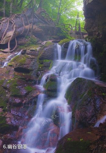 五女峰国家级森林公园-幽谷银瀑照片