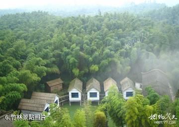 海陽雲頂自然風景旅遊區-竹林照片