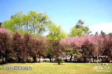 齊齊哈爾水師森林公園-植物園照片