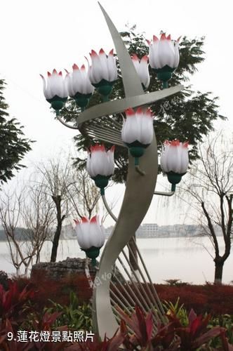 貴港東湖公園-蓮花燈照片