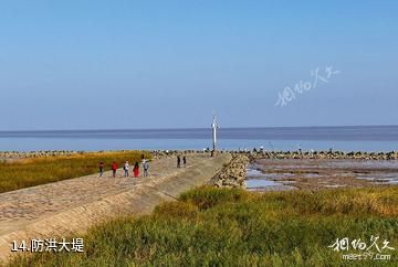 上海南汇嘴观海公园-防洪大堤照片