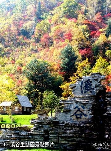 臨江花山國家森林公園-溪谷生態園照片