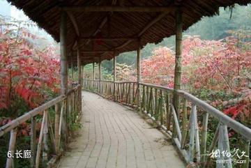 南京高淳瑶池生态旅游区-长廊照片