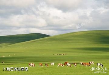 赤峰召庙-哈巴其拉草原照片