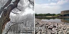 奎屯润民生态园驴友相册