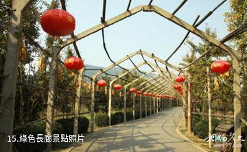 安徽禾泉農莊-綠色長廊照片