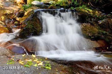 长沙大围山国家森林公园-枫林瀑布照片