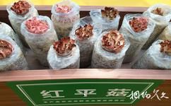 昌平北京農業嘉年華草莓博覽園旅遊攻略之農產品