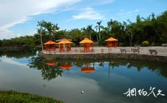 湛江南亚热带植物园旅游攻略之湖心岛