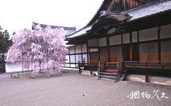 日本醍醐寺旅游攻略之三宝院