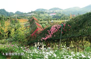 桐梓杉坪旅游景区-紫薇爱情长廊照片