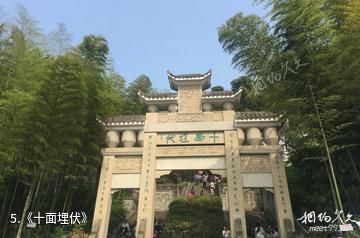 重庆永川茶山竹海旅游景区-《十面埋伏》照片