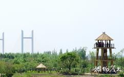 哈尔滨金河湾湿地植物园旅游攻略之观景塔