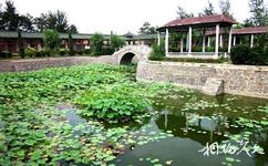 邯鄲大名石刻博物館旅遊攻略之庭院