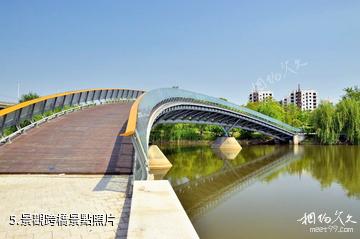 蘇州大白盪城市生態公園-景觀跨橋照片