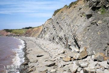 加拿大喬金斯化石斷崖-斷崖照片