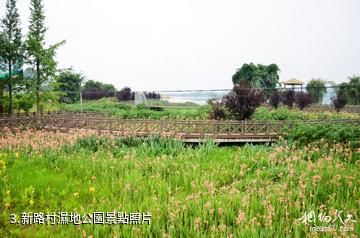 青神漢陽湖景區-新路村濕地公園照片