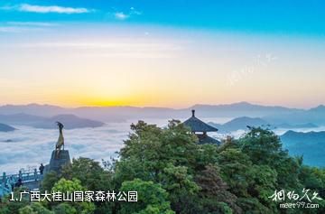 广西大桂山国家森林公园照片