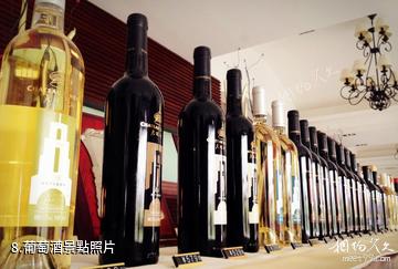 蓬萊中糧君頂酒庄-葡萄酒照片