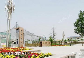 淄博動物園照片