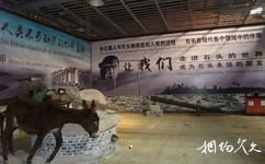 上海游龙石文化科普馆旅游攻略之科普馆